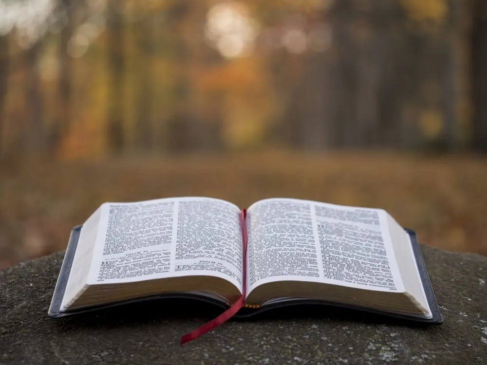 An open Bible resting on a stone in an autumn forest